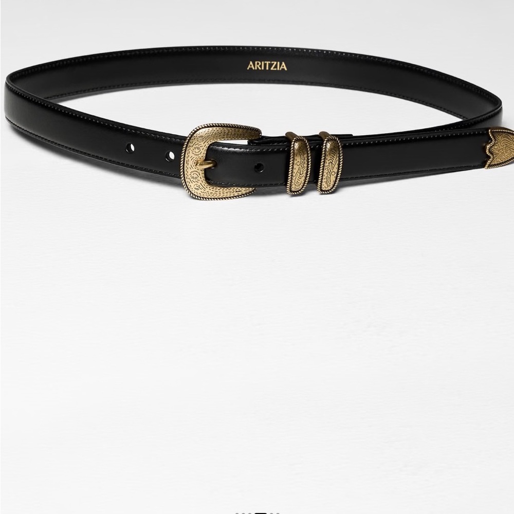 Aritzia Western Solid Brass Black Belt